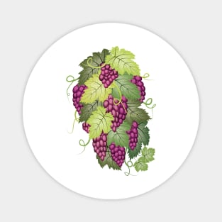 Bunches Of Grapes Magnet